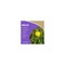 Bonide Products Captain Jacks Lawnweed Brew, Fast-Acting Weed, Moss & Algae Control, 32 oz Spray Bottle 2610 - alternate 10