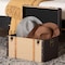 Baxton Studio Manton Storage Trunk with Hinged Top and Woven Exterior 272-14847-ZORO - alternate 6