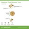 Symmons Braston HydroMersion Single Handle Tub and Shower Faucet Trim Kit - 1.5 GPM (Valve Not Included) 5892BBZ15TRM - alternate 3