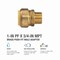 Proline Series 1-in PF x 3/4-in MIP Brass Push Fit Male Adapter 6630-154 - alternate 4