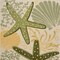 Homeroots 6' X 9' Green And Yellow Starfish Indoor Outdoor Area Rug 548074 - alternate 7