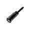 Fcs Struts Suspension Strut And Coil Spring Assembly 2336347 - alternate 5