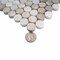 Apollo Tile 11x12 Wooden Grey, Eastern White Marble Polished Floor and Wall Mosaic Tile 4.83 sqft/case, 5PK APLSV88P15A - alternate 10