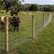 Wrightmaster 60 in. x 328 ft. 14-Gauge Heavy-Duty Hot-Dip Galvanized Poultry Fencing w/High Corrosion Resistance ZoroP503422 - alternate 8