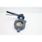 Naqip IRON MANUAL WAFER BUTTERFLY VALVE 3IN N200WSSE - alternate 1