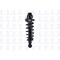 Fcs Struts Suspension Strut And Coil Spring Assembly 1345741R - alternate 1