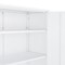 Manhattan Comfort 2-Piece Naomi Accent Cabinet and Storage Cabinet in White 2-AF067-WH - alternate 8