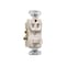 Pass & Seymour Switch & Outlet, Single-Pole, Light Almond, 15-Amp, 120-Volt 691LACC6 - alternate 2