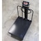 Selleton Scales Diamond Plate Bench Scale with Backrail & Wheels, 24 in x 24 in SL-915-BWD-24X32 - alternate 5