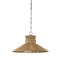 Troy Lighting Raphael 1 Light Pendant, Patina Brass, 26 In x 14.25 In F4926-PBR - alternate 2