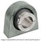 Edt PILLOW BLOCK BEARING QF9AE-QKP-22-LK - alternate 3