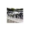 Bird-X 25 ft. Original Plastic Bird Spikes Coverage Pigeon Bird Repellent SP-25 - alternate 6