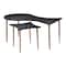 Homeroots Set of Two Black and Bronze Wood and Steel Free Form Coffee And End Table 572203 - alternate 6