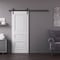 Sartodoors Barn Door 28x96 inches White Solid Core Modern Interior ROYAL9833BD-B-EMAL-2896 - alternate 1