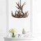 Jonathan Y Nelle 18" Adjustable Resin Antler 3-Light LED Chandelier, Brown JYL6304A - alternate 14