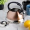Mr. Coffee Flintshire 1.75 Quart Whistling Stovetop Tea Kettle in Copper 127560.01 - alternate 6