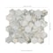 Msi Sample Coronado Honed Marble Hexagon Mosaic Floor And Wall Tile ZOR-MD-0614-SAM - alternate 6