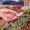 Corona Tools Yard Essentials Houseplant Pruners, Red BP13623 - alternate 3