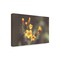 Trademark Fine Art Outdoor Canvas Art Nathan Larson 'Common Fiddleneck II' Wall Art for Patios, or Gardens WAP32650-OC1219WR - alternate 1