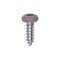 Auveco 8 x 1/2in Tan Painted Square Drive Pan Head Tapping Screw, 100PK 25365 - alternate 1