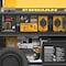 Firman GAS GENERATOR 120/240V 6700W P06707 - alternate 4