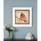 Homeroots Female Cardinal 1 White Framed Print Wall Art 407371 - alternate 4