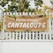 Signmission Farm Fresh Cantaloupe, 36 Inch x 96 Inch, Vinyl Banner B-96-30584 - alternate 4