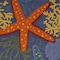 Homeroots 4' X 6' Blue Starfish Indoor Outdoor Area Rug 527625 - alternate 6