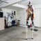 Vevor Drywall Stilts Aluminum Tool Stilts 36''-50'' Adjustable Painting Taping SGBGQ-3650 - alternate 6