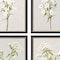 Homeroots Set Of Four White Field Flowers Black Framed Print Wall Art, 4PK 416436 - alternate 3
