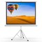 Pyle 50 Inch Portable Projector Screen with Tripod Stand PRJTP52 - alternate 1