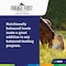 Adm Forage First Horse Rewards 3 Lb. Apple Horse Treat 80876AAAB2 - alternate 5