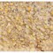 Heath Wild Bird Seed, Crafted Suet, Cake, 11.75 oz. Pack DDC6-12 - alternate 3