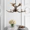 Jonathan Y Speller 27" Adjustable Resin Antler 3-Light LED Chandelier, Brown JYL6303A - alternate 13