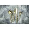 Mepra Due Flatware Set - 5 Pieces - Gold 108822005 - alternate 5