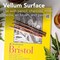 Strathmore 300 Series Bristol Pad, Vellum Finish, Tape Binding, 20 Sheet, 19x24 inch P342-119-1 - alternate 5