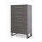Homeroots 30" Grey Manufactured Wood + Solid Wood Stainless Steel Six Drawer Chest 491549 - alternate 1
