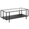 Homeroots 45" Clear And Black Glass And Steel Coffee Table With Shelf 520933 - alternate 1