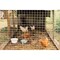 Wrightmaster 48 in. x 50 ft. 19-Gauge Hot-Dip Galvanised Wire Mesh for Houses, Chicken Coops Metal Frame ZR-SZ0753 - alternate 6