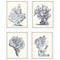 Homeroots Set Of Four Blue Antique Coral White Framed Print Wall Art, 4PK 525714 - alternate 1