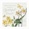 Trademark Fine Art Outdoor Canvas Art - Katie Pertiet 'Citron Curiosities IV' Wall Art for Patios, or Gardens WAP03183-OC1414WR - alternate 7