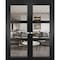 Sartodoors Solid French Double Doors, Lucia 2555 Matte Black with Clear Glass, Wood Solid Panel Frame Trims ,  LUCIA2555DD-BLK-7284 - alternate 1