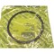 Cnh RING, CNH OEM 374028R1 374028R1 - alternate 1