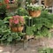 American Gardenworks 36'' H. Black Powder Coated Steel Plant Stand GPST - alternate 1