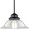 Vaxcel VAXCEL Huntley 1 Light Bronze Farmhouse Schoolhouse Pendant Clear Glass P0242 - alternate 5