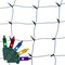Celebrations Classic LED T5 Multicolored 100 ct Net Christmas Lights 4 ft. RNT100MUA - alternate 1