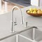 Blanco Empressa Pull Down 1.5 gpm, Stainless 442500 - alternate 6