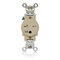 Leviton Single Receptacle Outlet, 20A, Ivory, 250V W5461-T0I - alternate 1