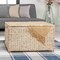Happimess Anada 30in Hand-Woven Wicker Weave Storage Trunk, White Wash HPM9005C - alternate 1
