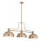 Z-Lite Melange Heritage Brass 3 Light Billiard 725-3HBR-D13HBR - alternate 5